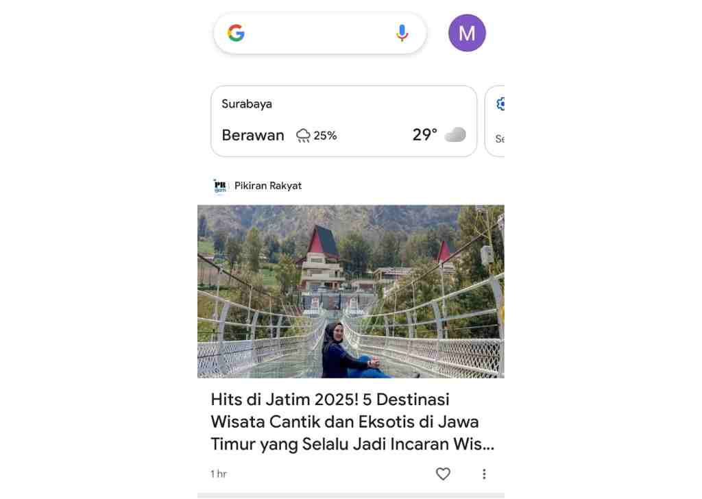 Bagaimana Tampilan Google Discover